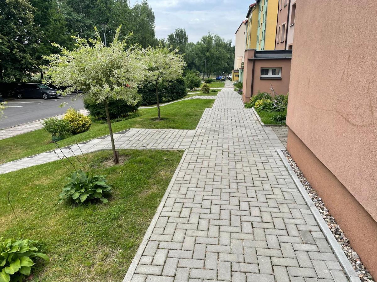 Apartament Weronika Gryfów Śląski Eksteriør billede